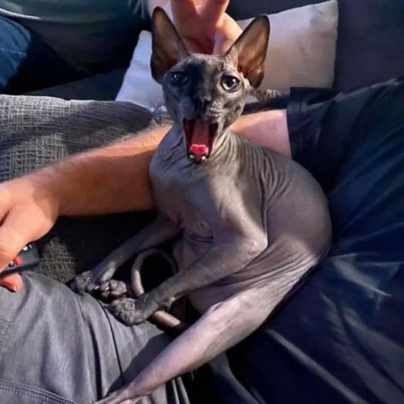 italianbella76